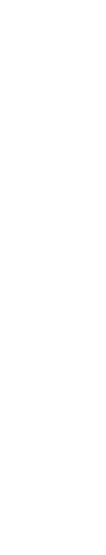 霞の鳥たち オオタカと猛禽類