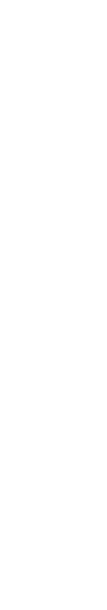 霞の鳥たち 冬の来訪者（カモ類）