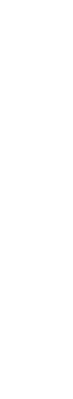 霞の鳥たち 冬の来訪者（小鳥）